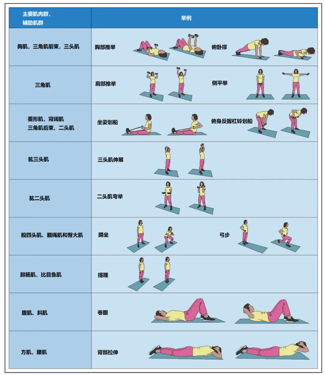 常见力量训练方式